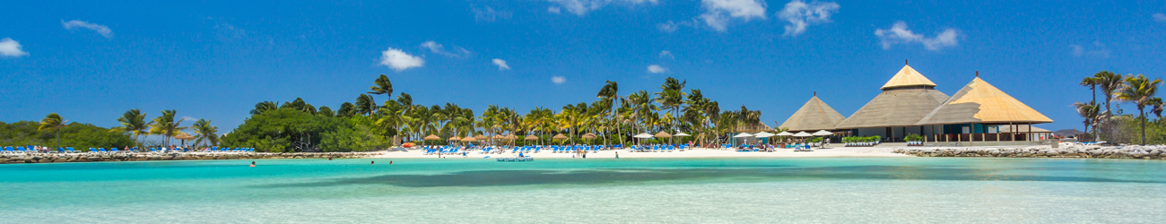 aruba-head-1300x250