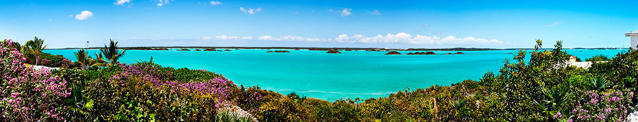 turkcaicos-head-1300x250