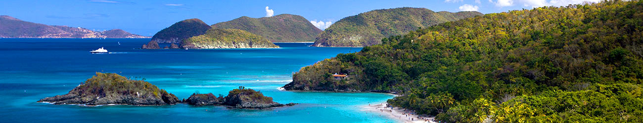 usvi-head-1300x250